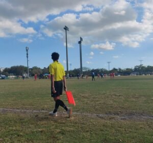Soccer Field image 4