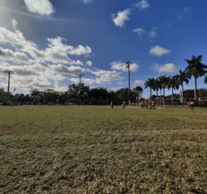 Soccer Field image 2