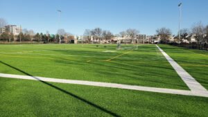 Soccer Field image 1