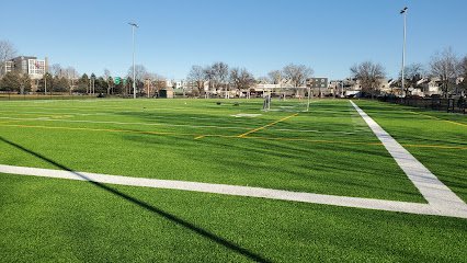 Soccer Field image 1