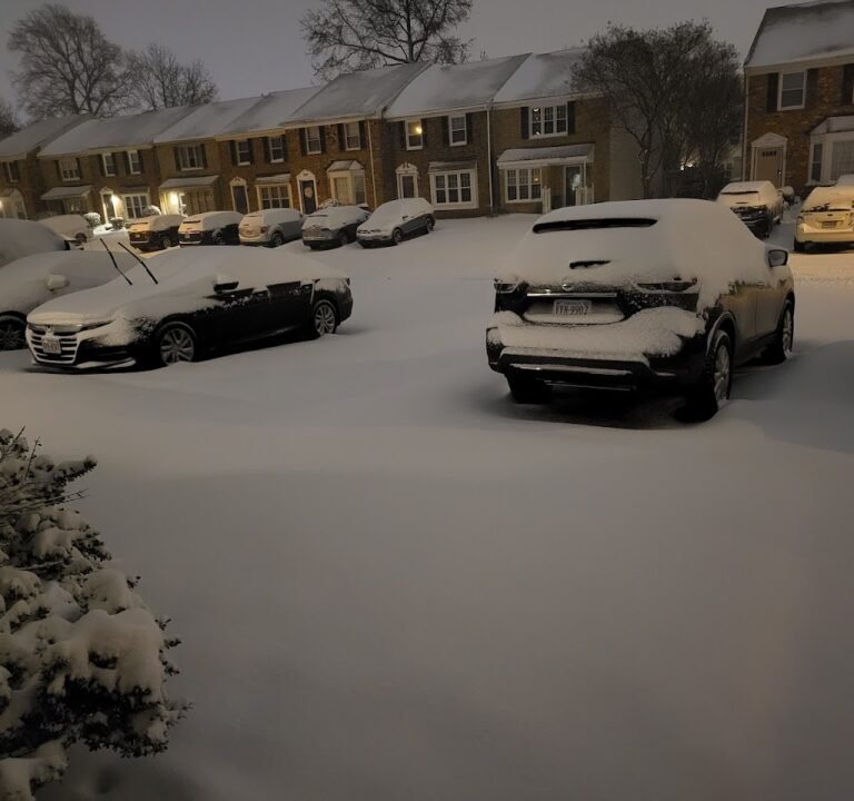 Soccer Field image 2