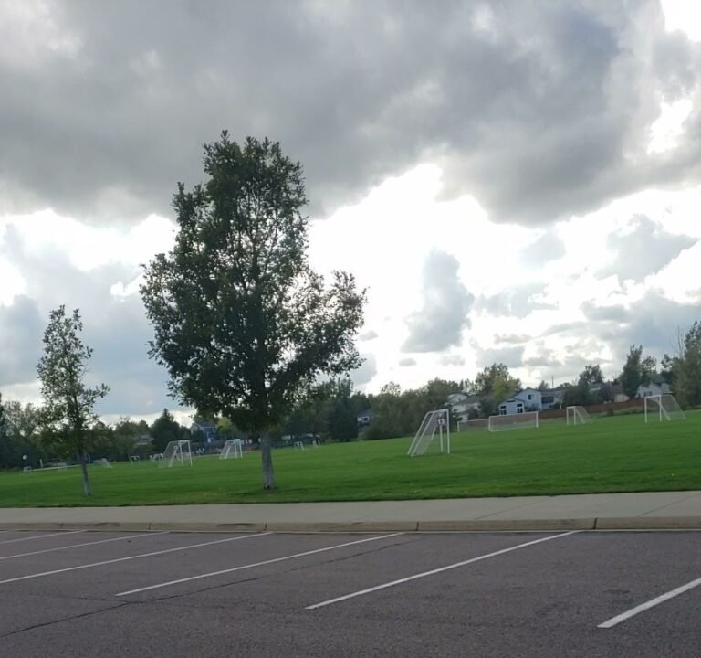 Soccer Field image 4