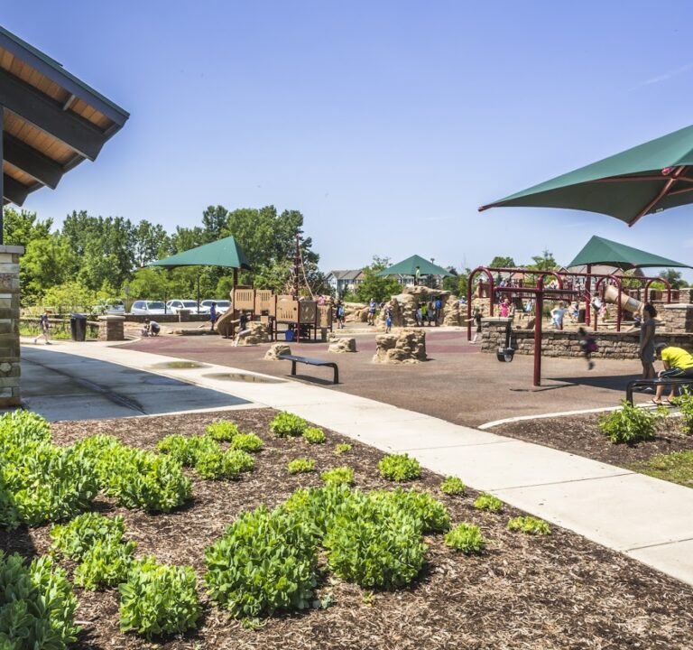 Soccer Field image 2