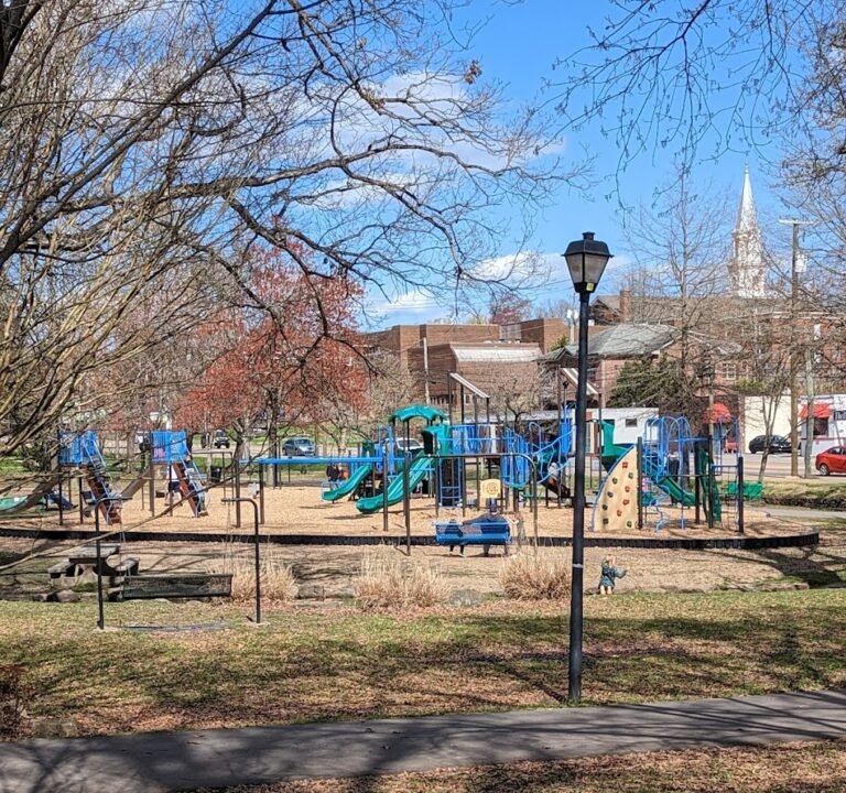 Soccer Field image 2