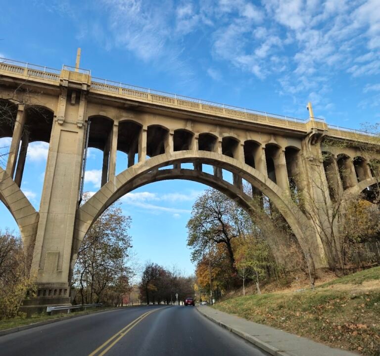 Soccer Field image 2