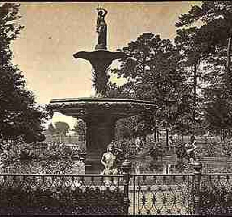 Soccer Field image 2