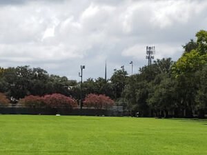 Soccer Field image 1