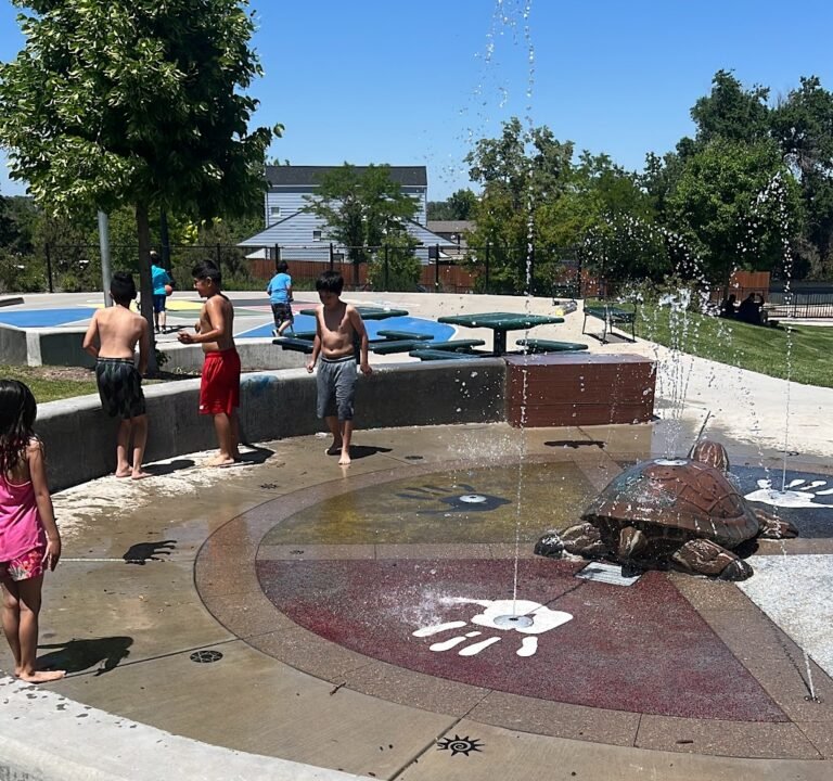 Soccer Field image 2