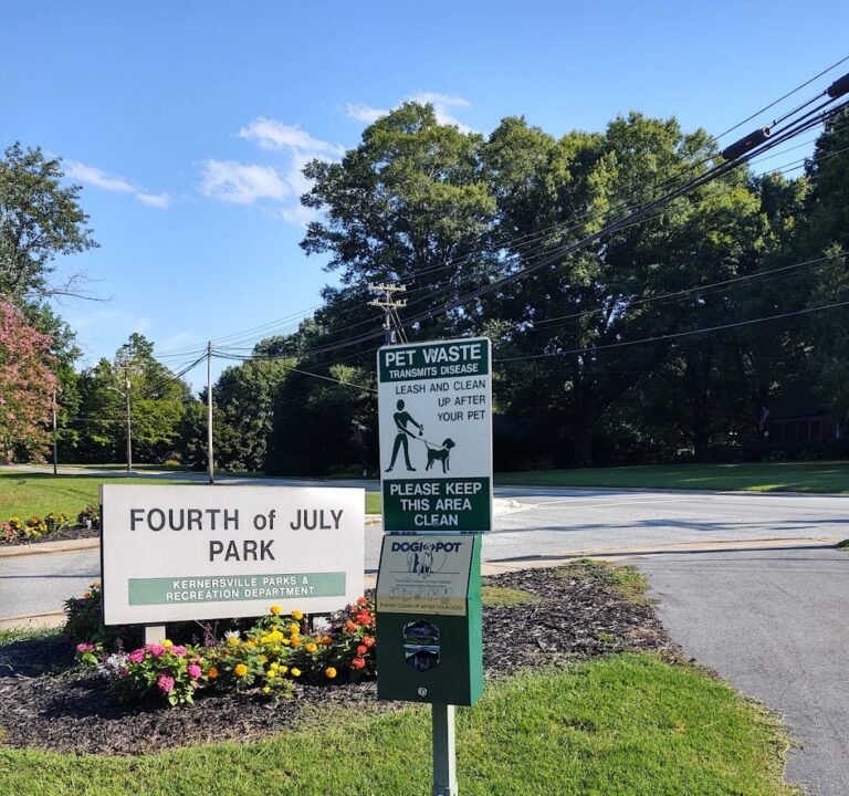 Soccer Field image 2