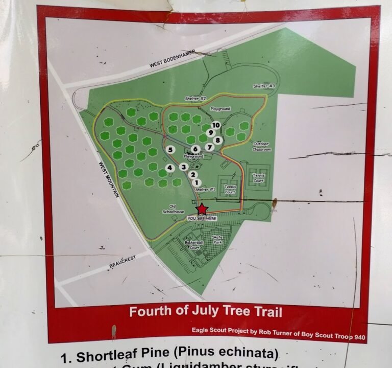 Soccer Field image 3