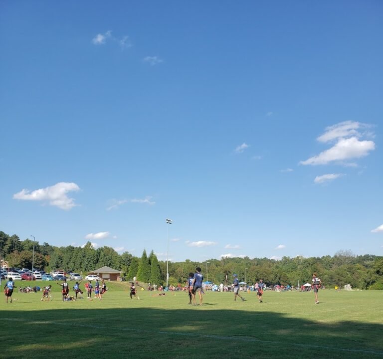 Soccer Field image 2