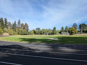 Soccer Field image 1