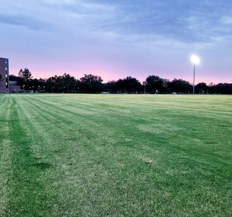 Soccer Field image 2