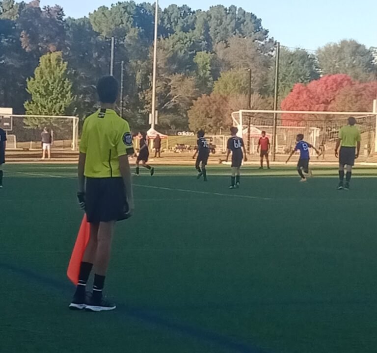 Soccer Field image 2