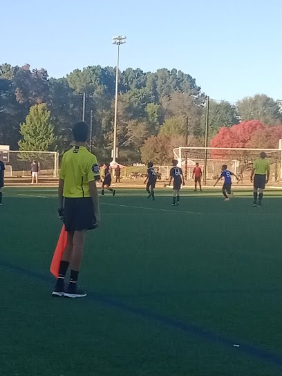 Soccer Field image 1