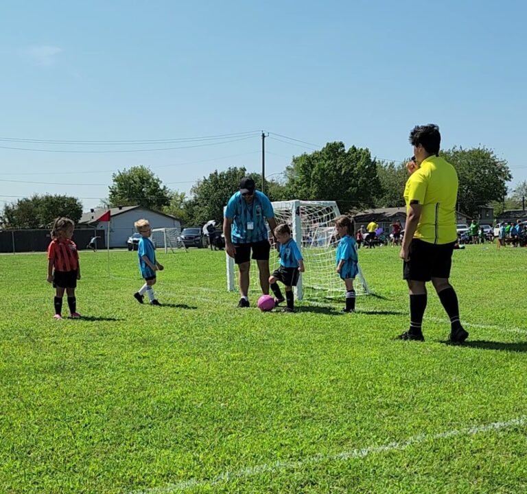 Soccer Field image 2