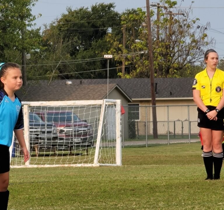 Soccer Field image 3