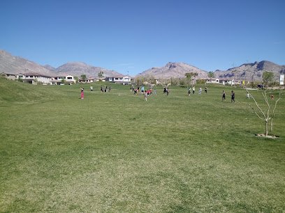 Soccer Field image 1
