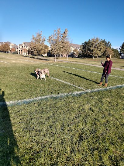 Soccer Field image 1
