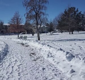 Soccer Field image 4