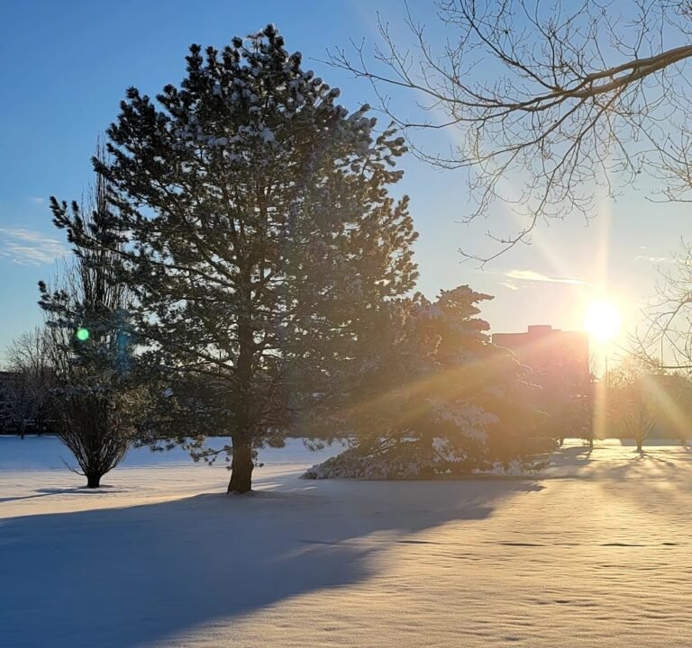 Soccer Field image 3