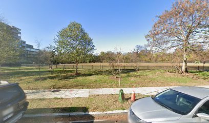 Soccer Field image 1