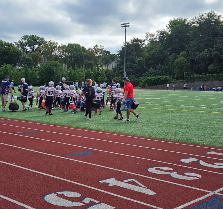 Soccer Field image 2