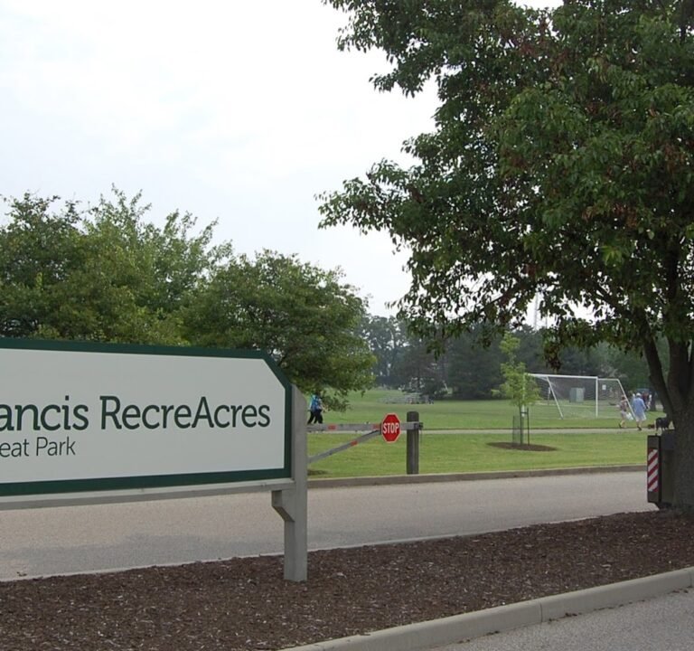 Soccer Field image 2