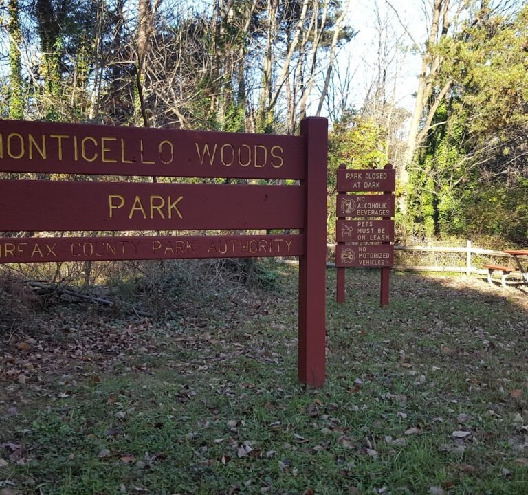 Soccer Field image 3