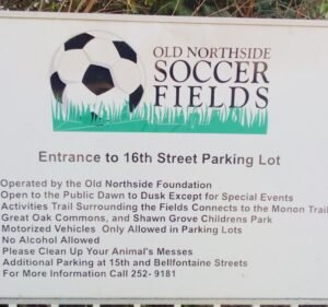 Soccer Field image 3