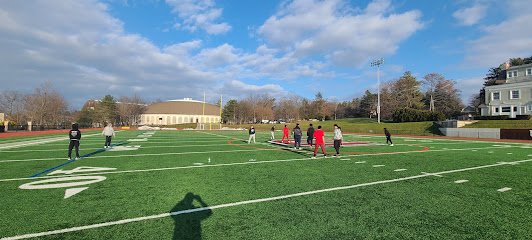 Soccer Field image 1