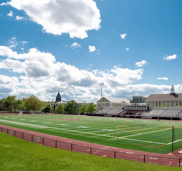 Soccer Field image 2
