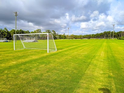 Soccer Field image 1