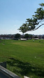 Soccer Field image 1