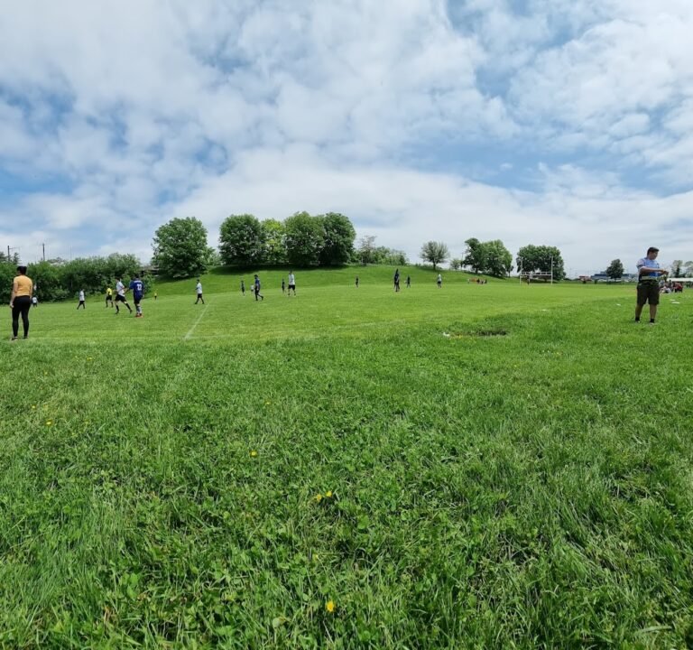 Soccer Field image 2