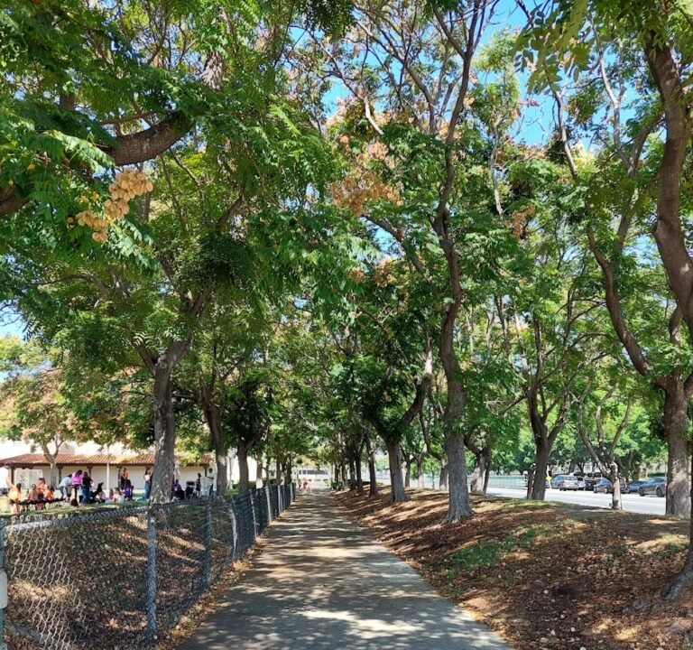 Soccer Field image 2