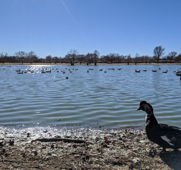 Soccer Field image 2