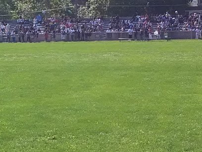Soccer Field image 1