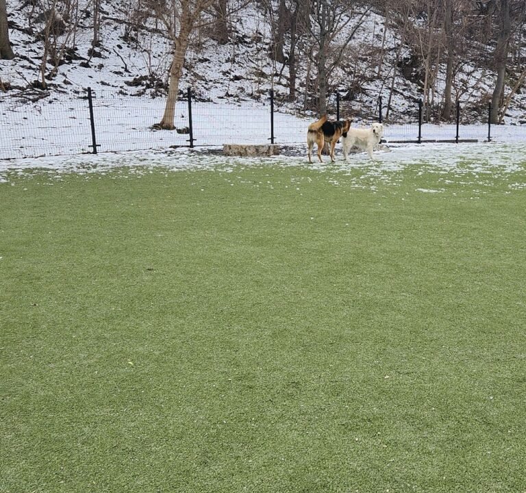 Soccer Field image 3