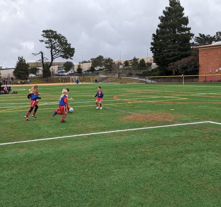 Soccer Field image 3