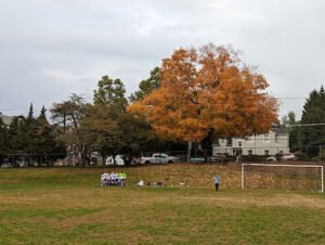 Soccer Field image 1