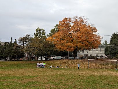 Soccer Field image 1