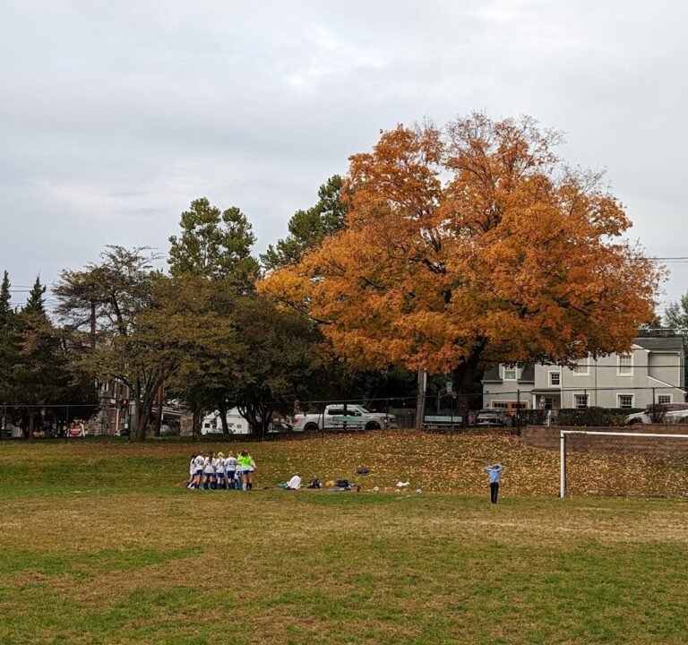Soccer Field image 2
