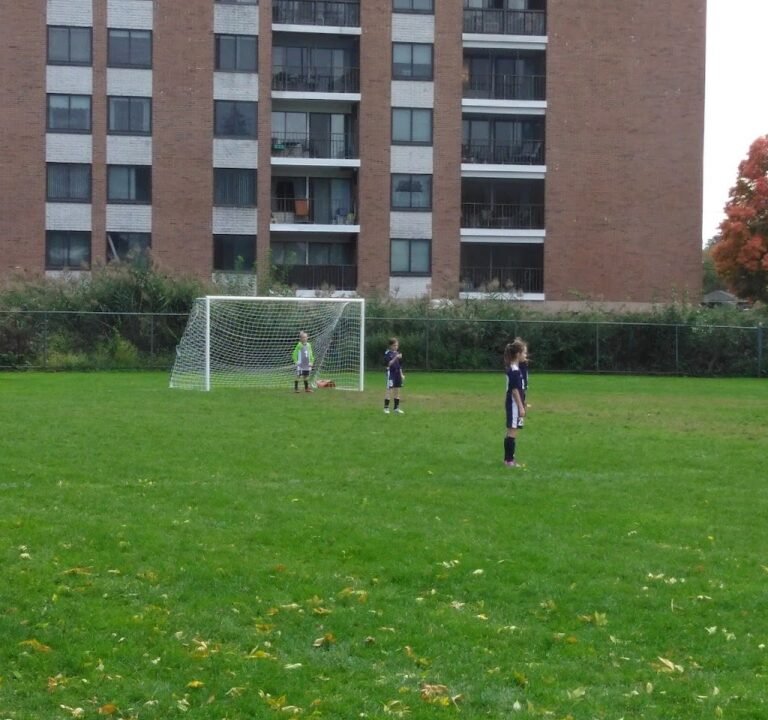 Soccer Field image 3