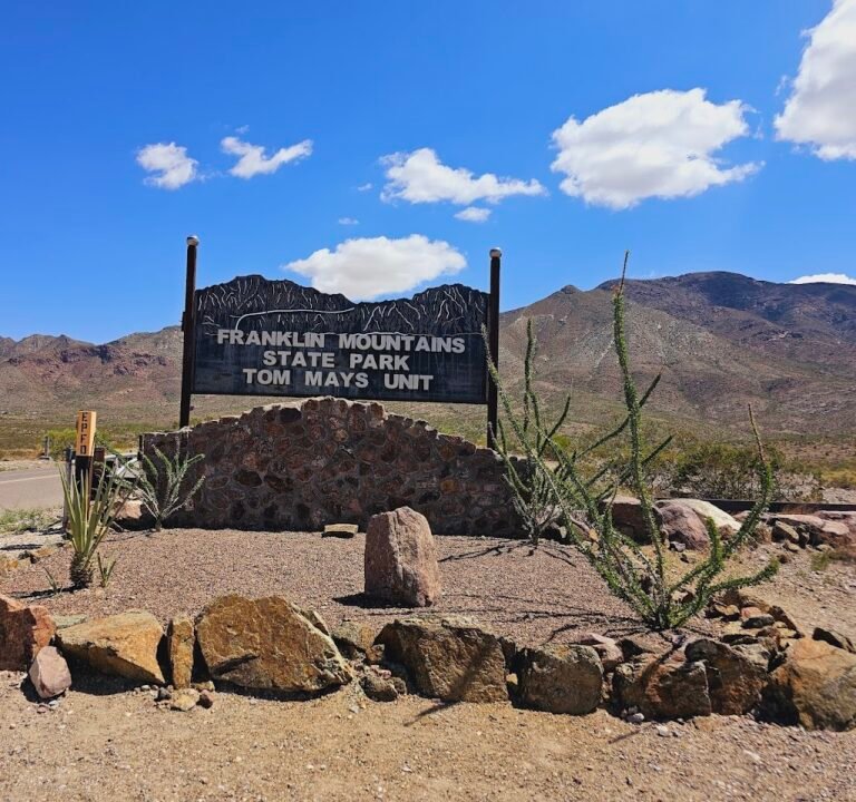 Soccer Field image 2