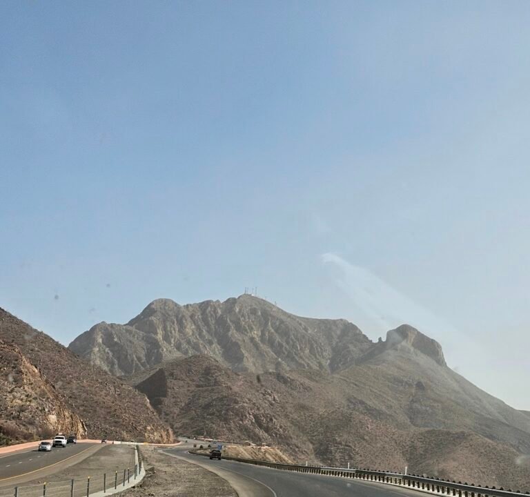 Soccer Field image 3