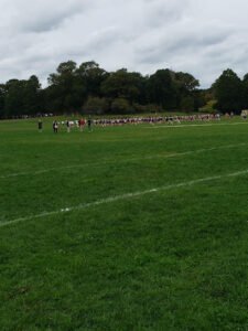 Soccer Field image 1