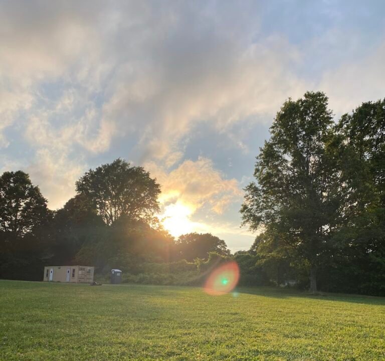 Soccer Field image 2