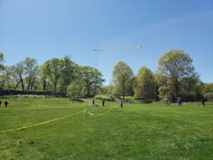 Soccer Field image 1