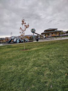 Soccer Field image 1